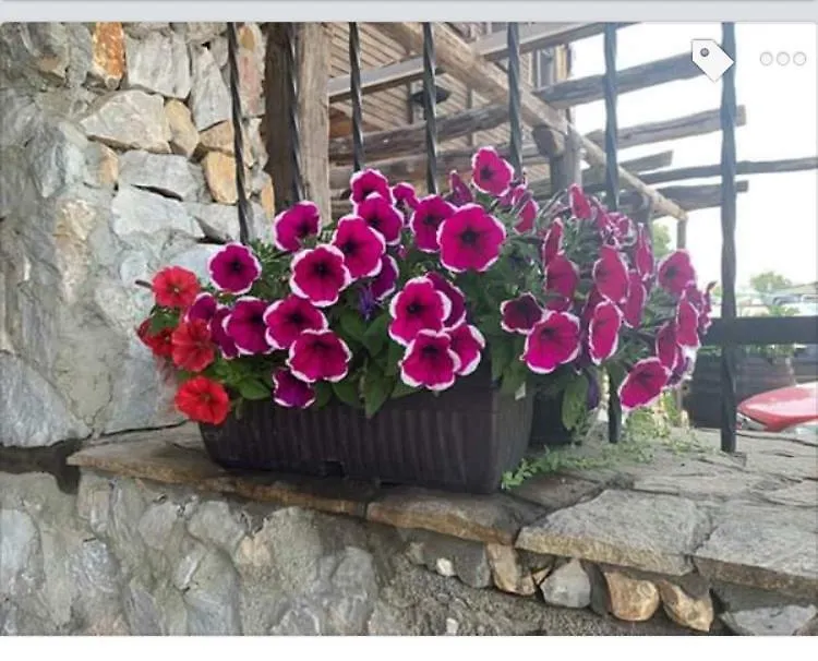 Buhlevata Vodenitsa Hotel Burgasz